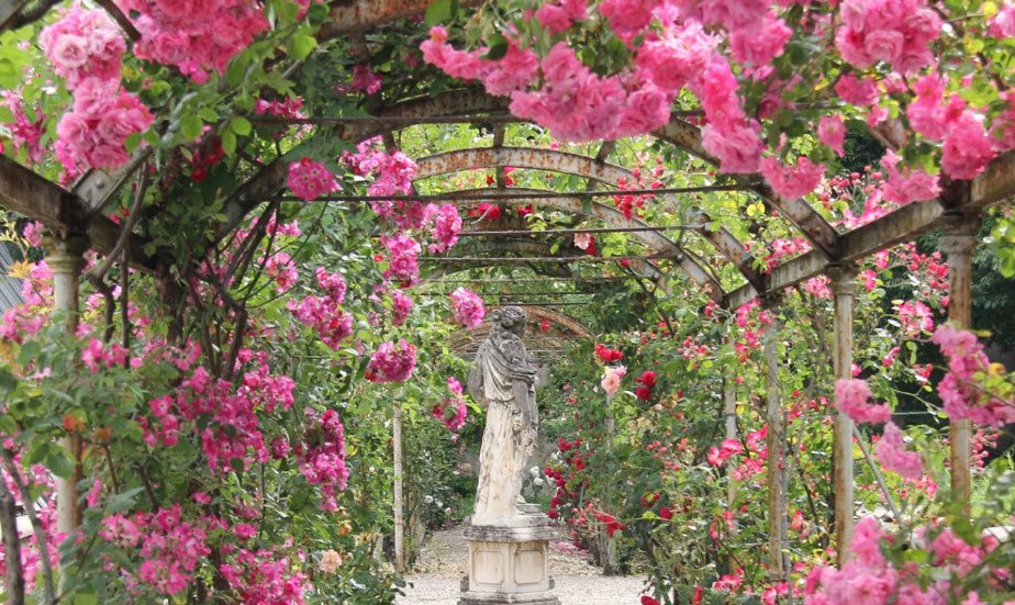 Botanical Garden of the University of Pavia, Italy